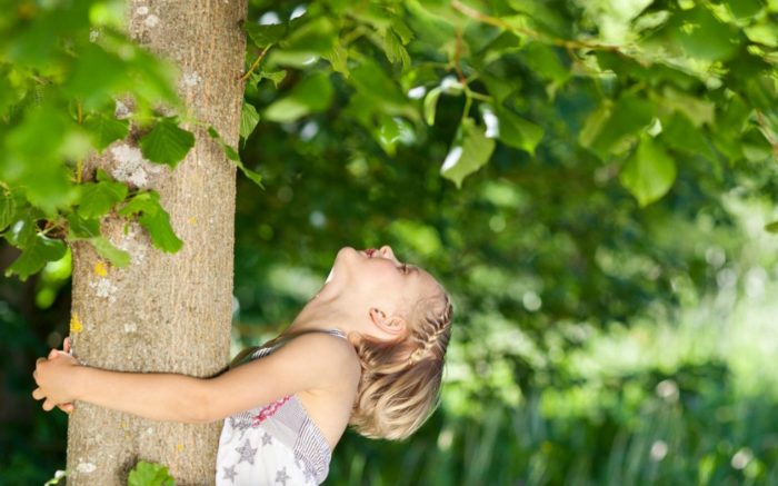 Eco-Friendly Design Tips